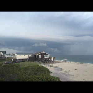 Meet your Posher, Ellie